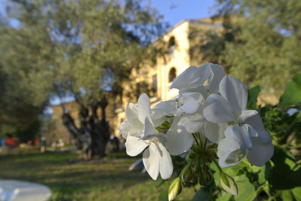 Maison d'hôtes Maset Del Garraf à Olesa de Bonesvalls Extérieur photo