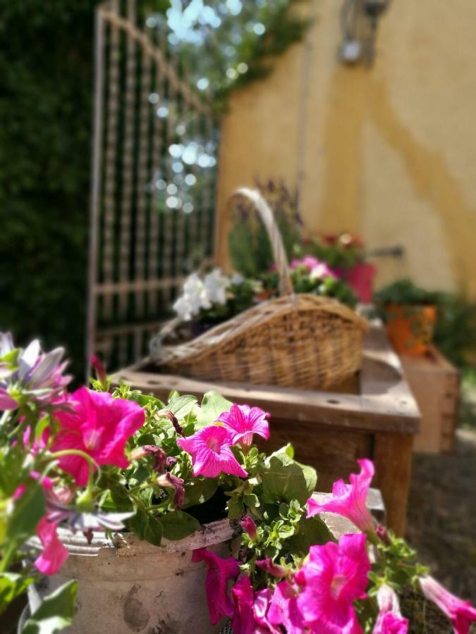 Maison d'hôtes Maset Del Garraf à Olesa de Bonesvalls Extérieur photo