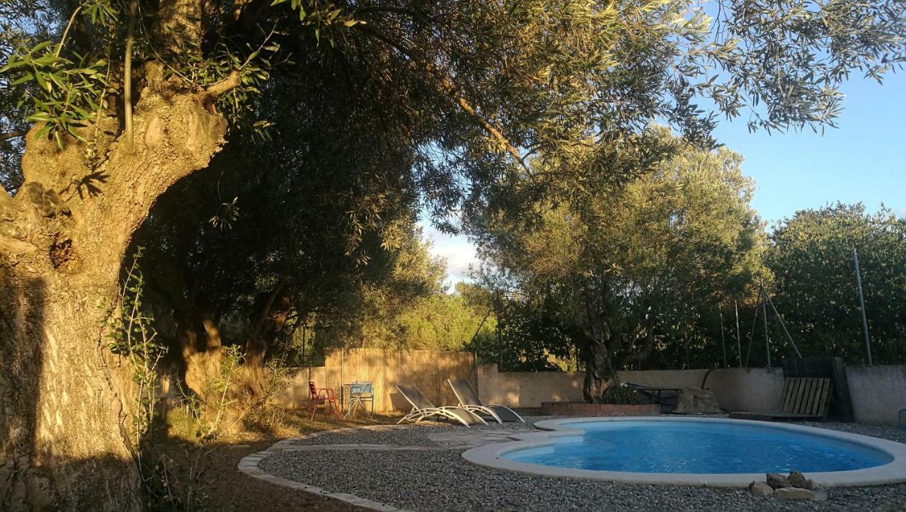 Maison d'hôtes Maset Del Garraf à Olesa de Bonesvalls Extérieur photo